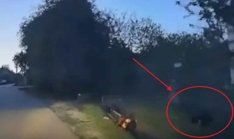 A rendőrök szeme láttára esett az árokba a motoros! Figyeld, mi történt ez után!