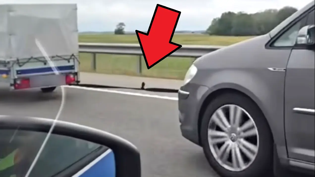 Videó: utánfutóra kötött biztonsági övvel vontattak egy Volkswagent az M35-ös autópályán!